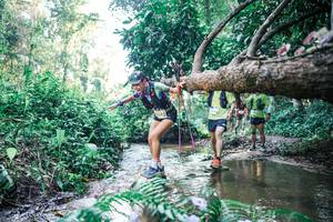 BIB: 
                            <button type="button" onclick="openModal(25441760)" class="btn btn-primary btn-sm float-right btn-popup" data-toggle="modal" data-target=".modal-high-quality">
                        <i class="fas fa-shopping-cart"></i> Add to Cart
                    </button>
                                            <button type="button" onclick="isThisMe(25441760, true)" class="btn btn-success btn-sm float-right btn-popup btn-isme hidden" data-toggle="tooltip" data-placement="bottom" title="นี่คือรูปของคุณใช่ไหม คลิกที่นี่เพื่อเอาเข้าอัลบั้ม">
                        <i class="fas fa-plus"></i> Add to album
                    </button>
                    <button type="button" onclick="isThisMe(25441760, false)" class="btn btn-warning btn-sm float-right btn-popup btn-isnotme hidden">
                        <i class="fas fa-ban"></i> Remove from album
                    </button>